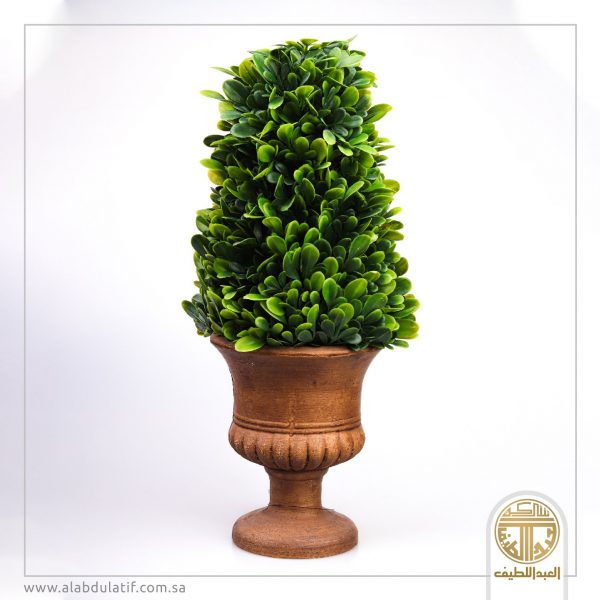 مركن شجر وسط