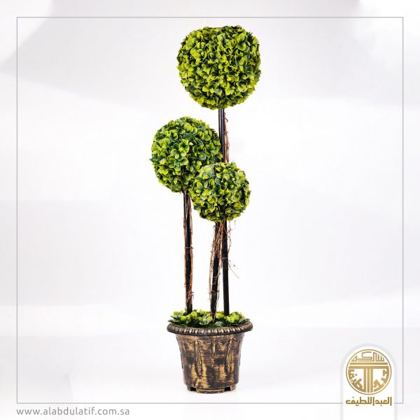 شجر كبير 3كور