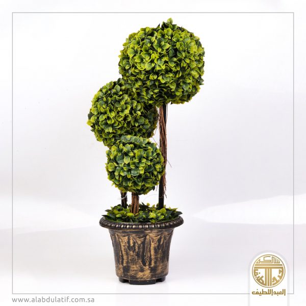 شجر وسط شكل كور