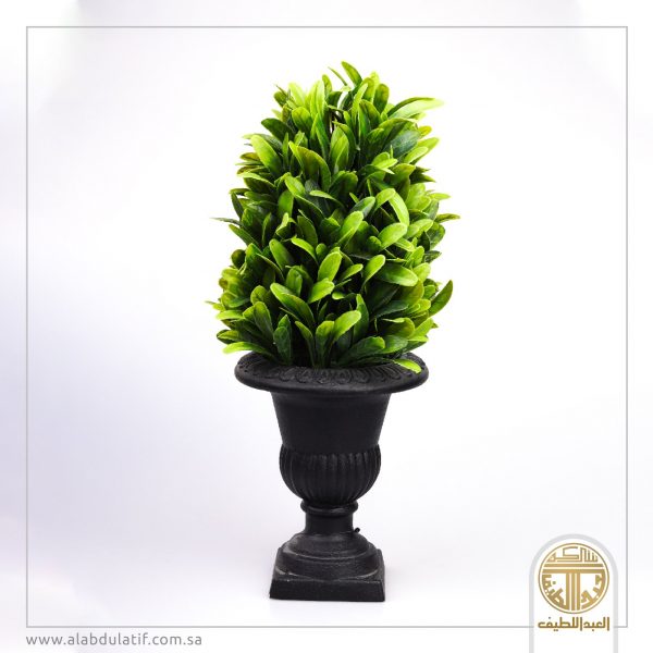 مركن شجر صغير