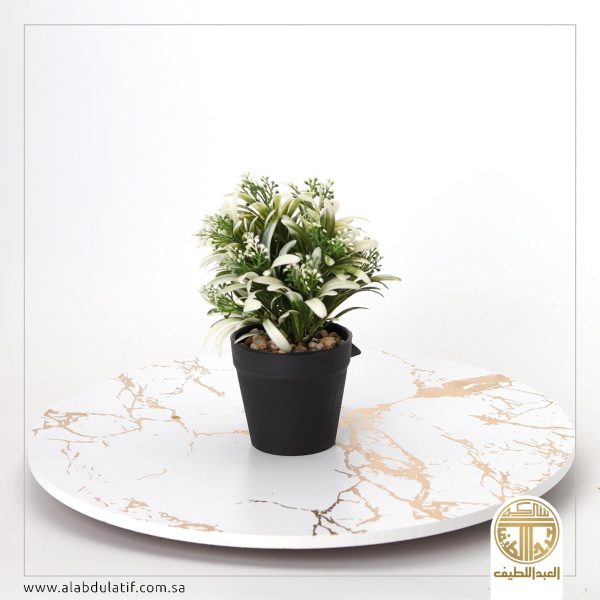 مركن زرع اخضر