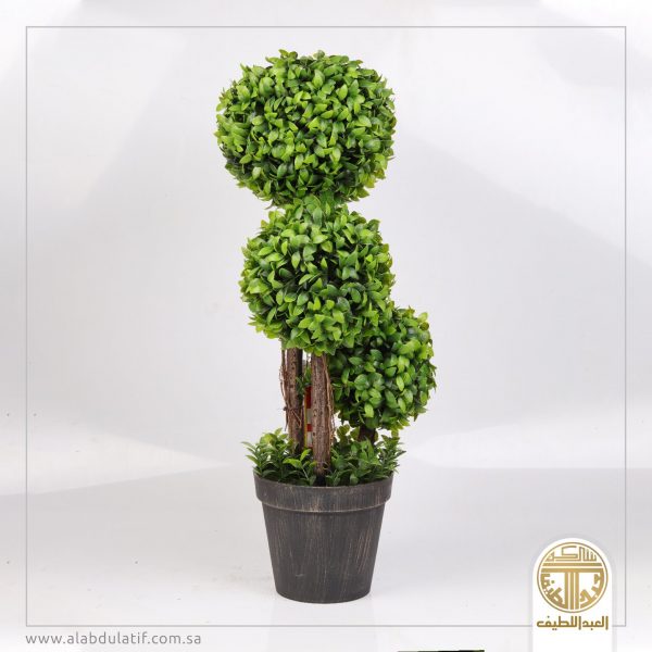 شجر كبير 3كور