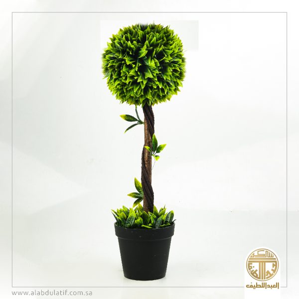 شجره كوره كبيره