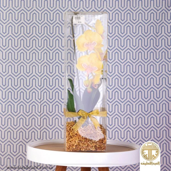 ورد تايلندي بعلبه بلاستيك