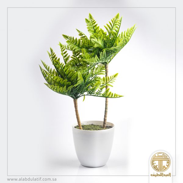 مركن خضار وسط