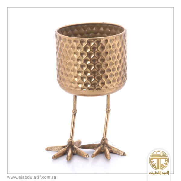 مركن زرع بأرجل بطة