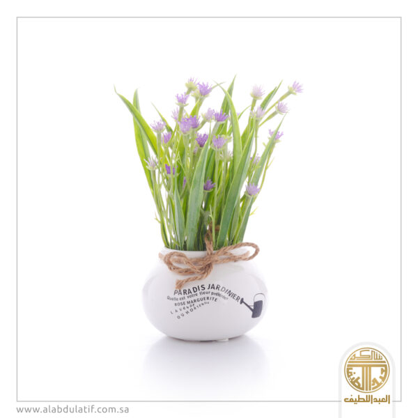 مركن زرع سراميك صغير