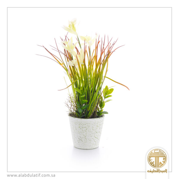 مركن زرع سراميك صغير