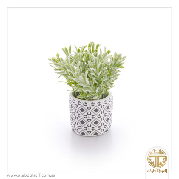 مركن زرع سراميك صغير