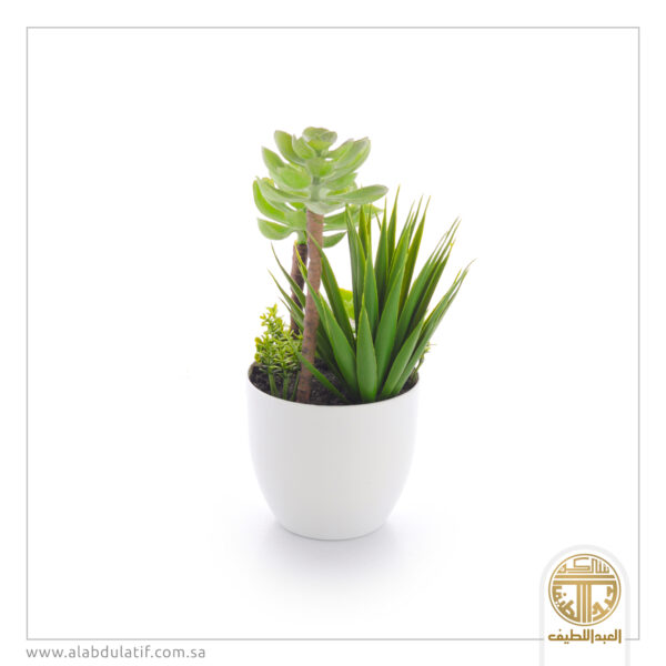 مركن زرع بلاستيك صغير