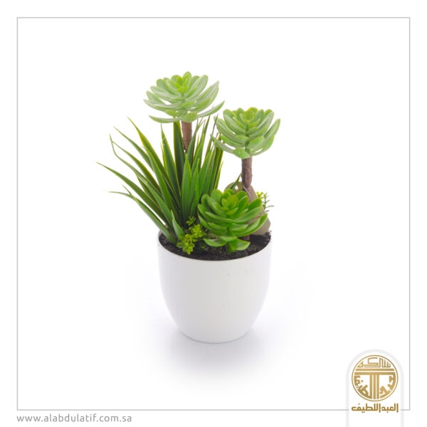 مركن زرع بلاستيك صغير