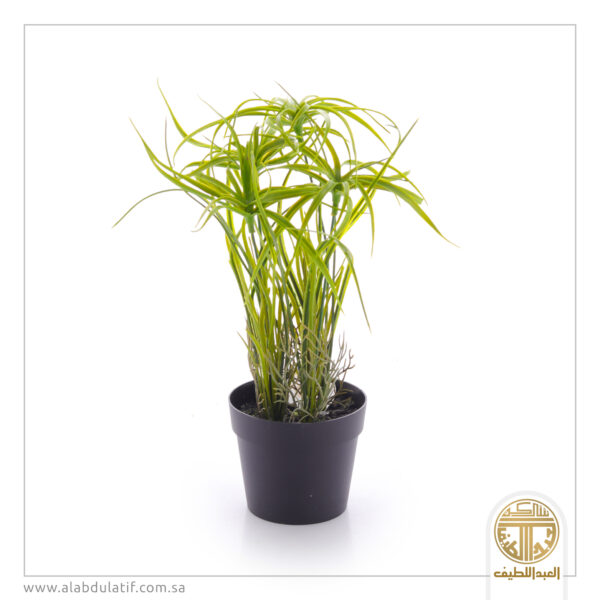 مركن زهور بلاستيك صغير