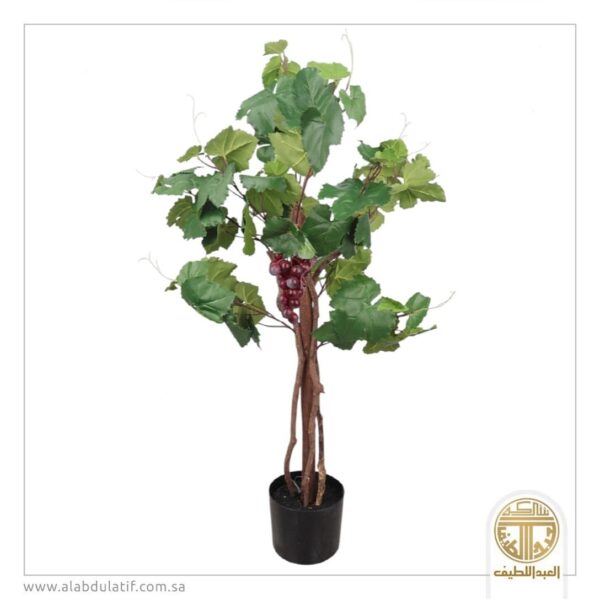 شجر ورق عنب