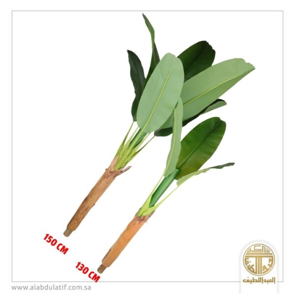 شجر تنسيق دون مركن