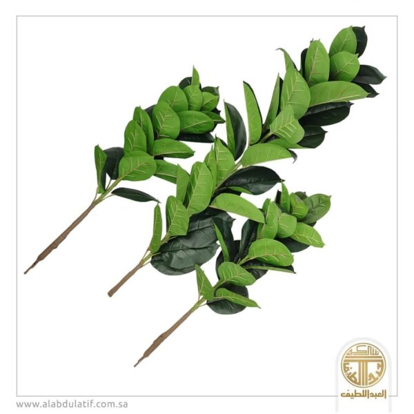 شجر تنسيق دون مركن