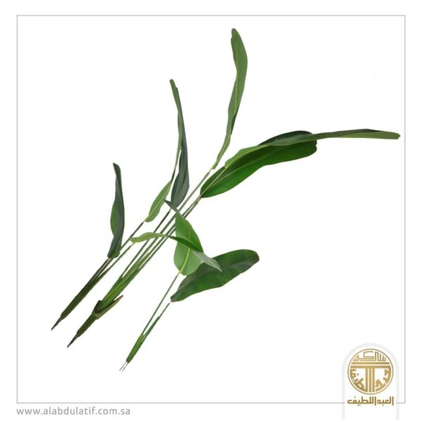 شجر تنسيق دون مركن